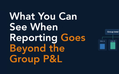 What You Can See When Reporting Goes Beyond the Group P&L