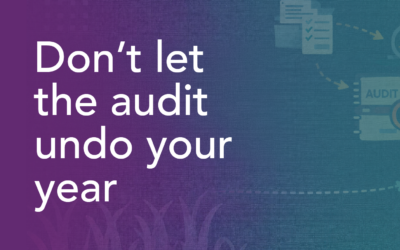 Don’t Let the Audit Undo Your Year